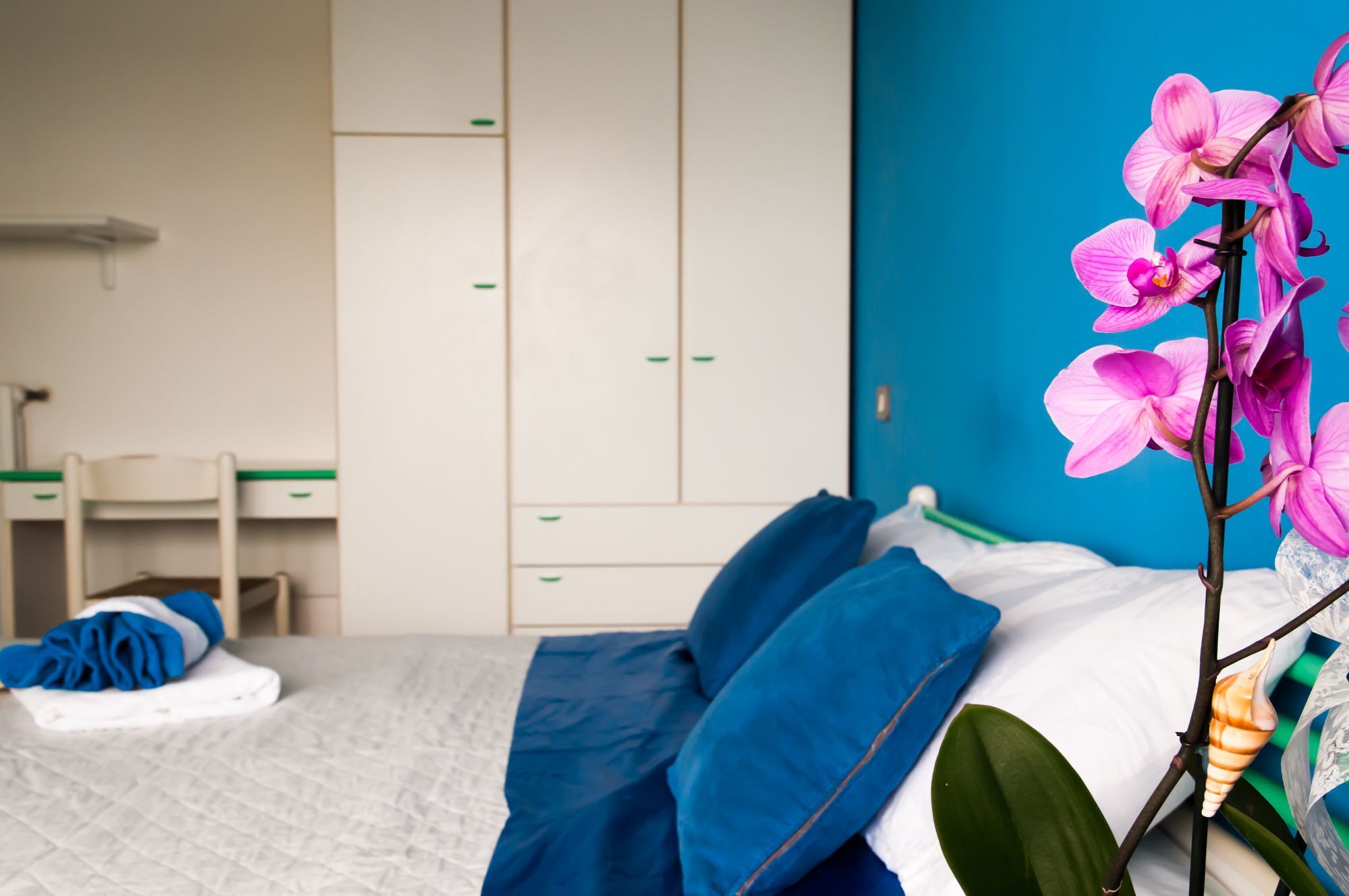 Belvedere Vista - Seafront Apartahotel 2*